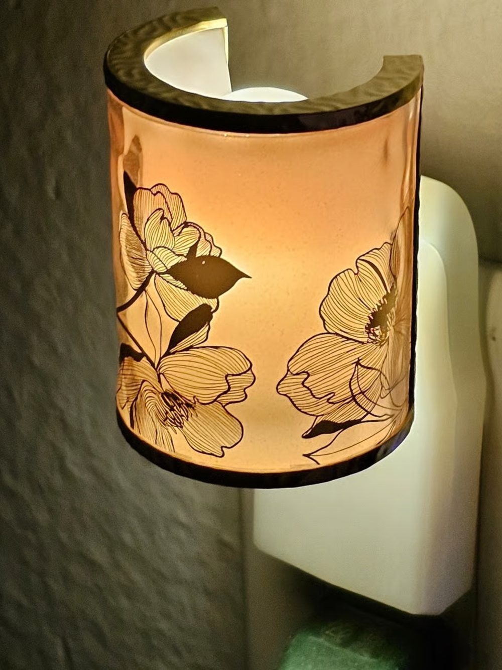 2 for $25 | Bath & Body Works Floral Wallflower Nightlight Plugs | NWT - Picture 15 of 15